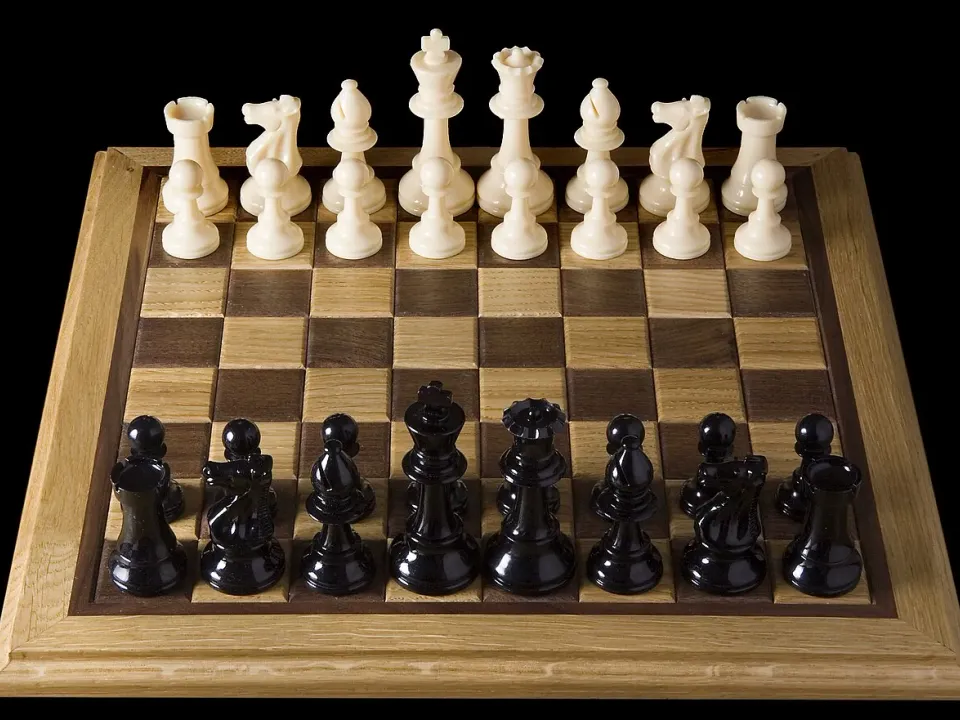 Opening chess position from black side