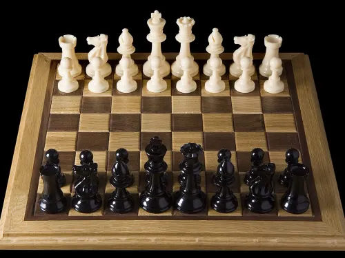 Opening chess position from black side