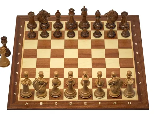 Duck Chess Pays in Bragging Rights More Than Dollars, and That's the Point